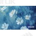 Tło fotograficzne Kwiaty 3386
